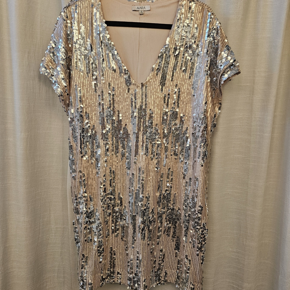 Avara Sequin Dress in Silver and Gold